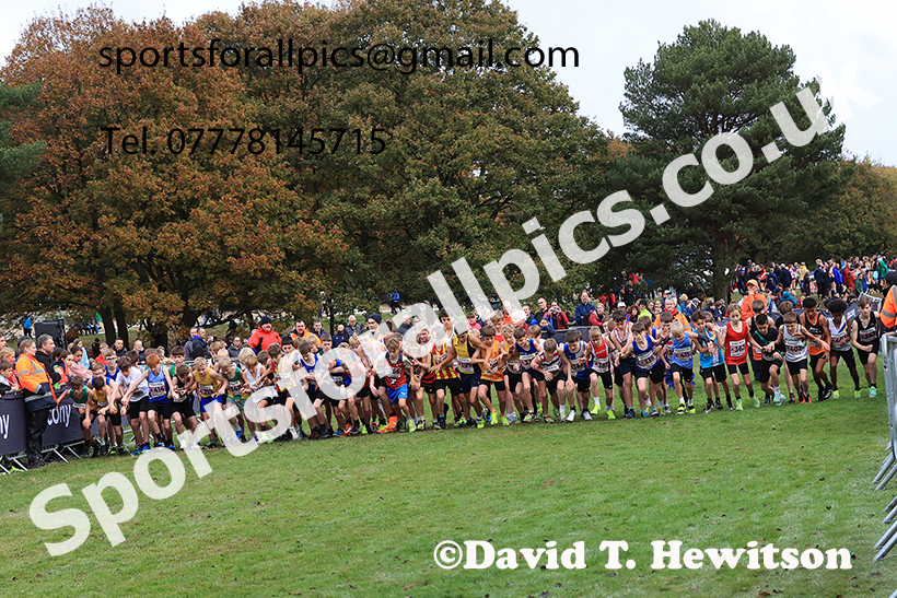 Boys Under-13s 2024 National Cross Country Relays, Berry Hill Park, Mansfield.   Photo: David T. Hewitson/Sports for All Pic